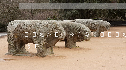 網貸逾期屬于公安局管嗎(網貸逾期派出所會管嗎)