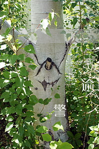 網貸逾期平臺會報警嗎(網貸平臺聲稱已經報警)