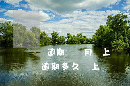 網貸逾期幾個月會上門嗎(正規(guī)網貸逾期多久會上門)