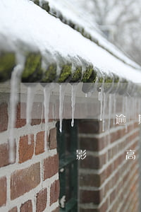網貸逾期影響高考報名嗎(高三學生有網貸會影響高考嗎)