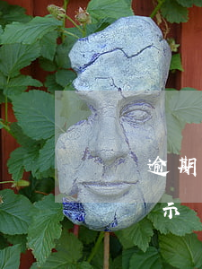 網貸逾期征信上面顯示不逾期(網貸逾期征信會顯示嗎)