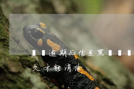 網貸逾期征信是黑戶嗎(網貸逾期征信黑了多久才能消除)