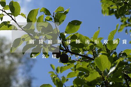 網貸逾期律師函拒收 網貸逾期律師函拒收會怎么樣