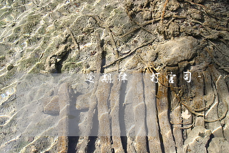 網貸逾期律師打官司-網貸逾期找律師