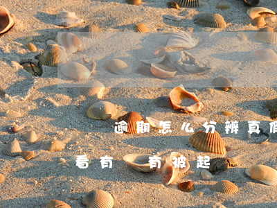 網貸逾期怎么分辨真假起訴-網貸逾期怎么看有沒有被起訴
