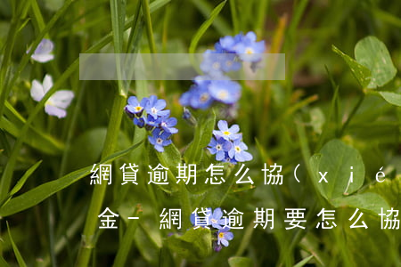 網貸逾期怎么協(xié)商利息全免還本金-網貸逾期要怎么協(xié)商減免