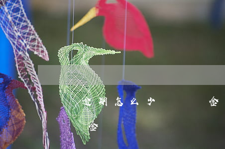 網貸逾期怎么少還違約金(網貸逾期怎么少還違約金)