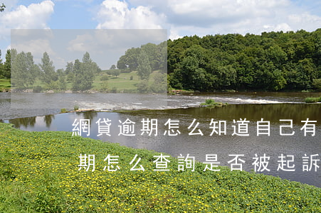 網貸逾期怎么知道自己有沒有被起訴(網貸逾期怎么查詢是否被起訴)
