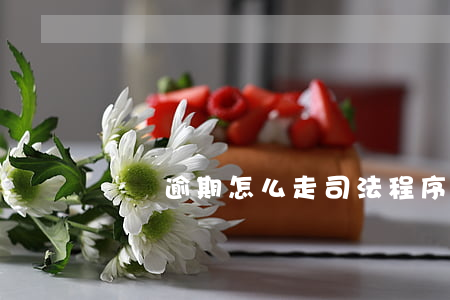 網貸逾期怎么走司法程序(網貸逾期起訴怎么辦)