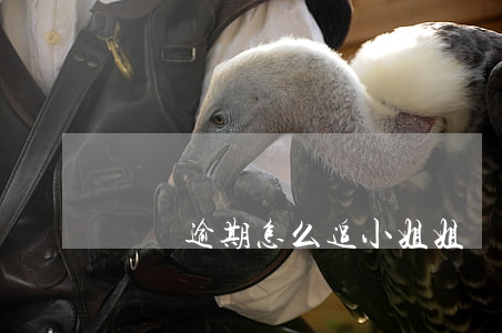 網貸逾期怎么追小姐姐(網貸逾期交流吧)