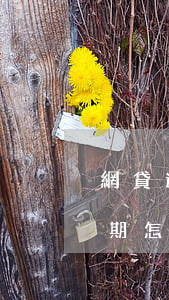 網貸逾期怎么防止通訊錄被爆短信-網貸逾期怎么防止通訊錄被爆短信呢