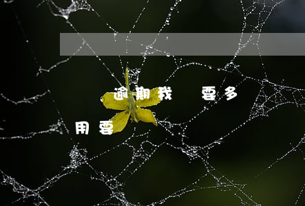 網貸逾期我還要多還錢嗎(網貸逾期的逾期費用要還嗎?)
