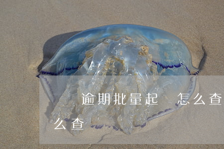 網貸逾期批量起訴怎么查(網貸逾期被起訴怎么查)