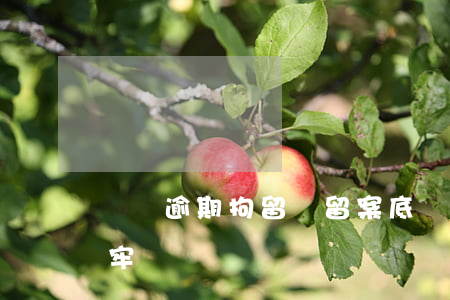 網貸逾期拘留會留案底嗎(網貸逾期多久會坐牢)