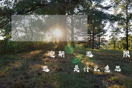 網貸逾期掛網逃廢債會限乘限飛嗎-網貸掛網逃廢債是什么意思
