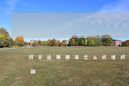 網貸逾期接單怎么處理(網貸全部逾期了怎么辦)