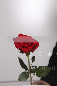 網貸逾期支付寶賬戶被凍結(因為網貸支付寶被凍結)
