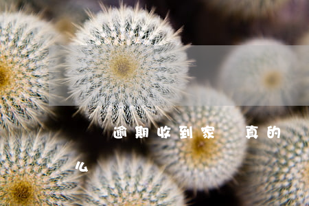 網貸逾期收到家訪真的嗎(網貸逾期家屬會怎么樣)