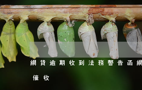 網貸逾期收到法務警告函(網貸逾期法律函件催收)
