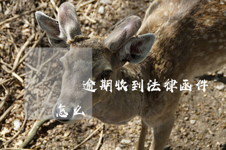 網貸逾期收到法律函件(網貸逾期收到律師函怎么辦)