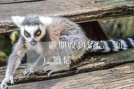 網貸逾期收到短信網址(網貸逾期律所發(fā)短信)