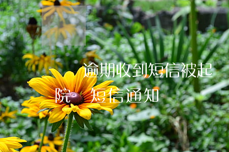 網貸逾期收到短信被起訴(網貸逾期被起訴法院會短信通知嗎?)