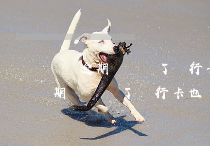 網貸逾期時間長了銀行卡也凍結了-網貸逾期時間長了銀行卡也凍結了怎么辦