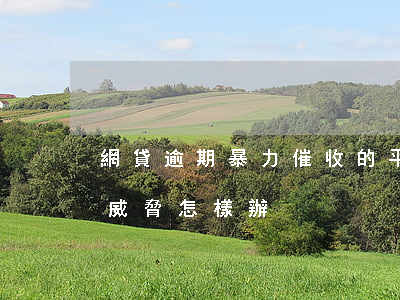 網貸逾期暴力催收的平臺(網貸逾期暴力催收威脅怎樣辦)