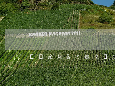 網貸逾期暴力催收違法嗎(網貸逾期被催收)