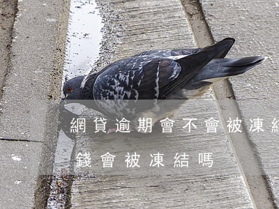 網貸逾期會不會被凍結微信（網貸逾期微信的錢會被凍結嗎）