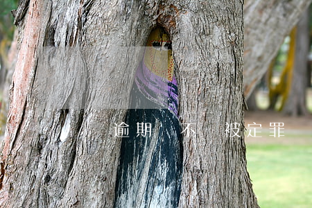 網貸逾期會不會被定罪(網貸逾期了會坐牢嗎)