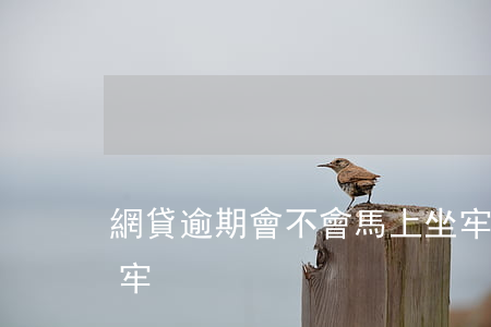 網貸逾期會不會馬上坐牢(網貸逾期多久會坐牢)