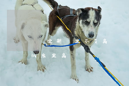 網貸逾期會坐不了高鐵嗎(網貸逾期多久不可以乘坐高鐵)