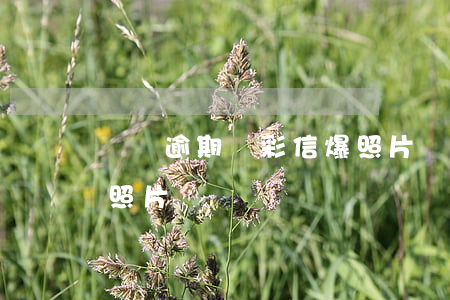 網貸逾期會彩信爆照片嗎(網貸逾期會彩信爆照片嗎)