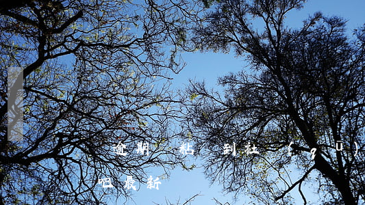 網貸逾期會粘貼到社區(qū)嗎(網貸逾期貼吧最新)