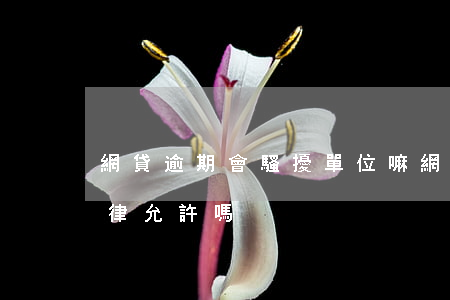 網貸逾期會騷擾單位嘛(網貸逾期騷擾家人法律允許嗎)