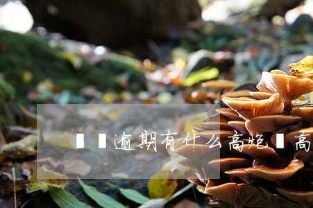 網貸逾期有什么高炮貸(高炮和網貸誰可怕)