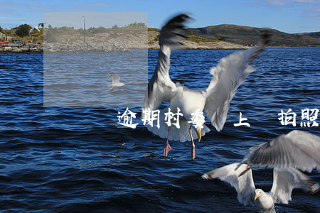 網貸逾期村委會上門拍照(網貸上門去村委會)
