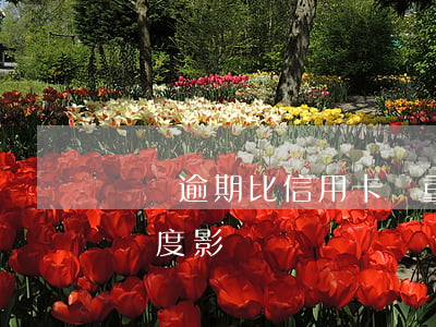 網貸逾期比信用卡嚴重嗎(網貸逾期對信用卡額度影響嗎)