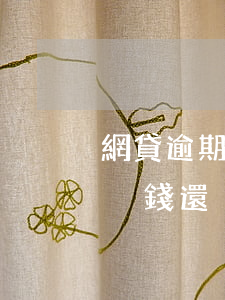 網貸逾期沒還款會怎樣(網貸逾期了怎么辦又沒錢還)