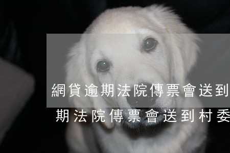 網貸逾期法院傳票會送到村委會嗎-網貸逾期法院傳票會送到村委會嗎知乎
