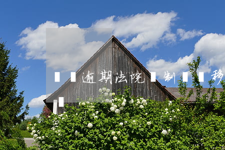 網貸逾期法院強制錢轉移了(網貸逾期債權轉讓)