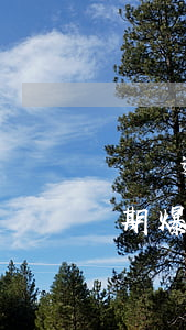 網貸逾期爆通訊錄一般爆多長時間-網貸逾期爆通訊錄爆多久