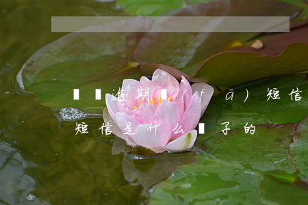 網貸逾期發(fā)短信是真是假(網貸逾期短信是什么樣子的)