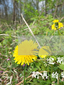 網貸逾期真的收到律師函了怎么辦-網貸逾期真的收到律師函了怎么辦呢