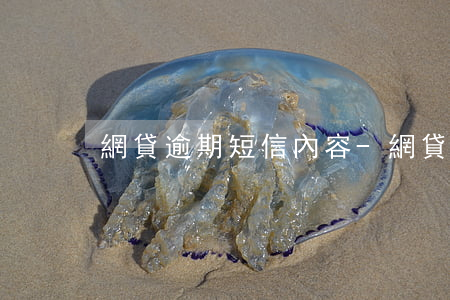 網貸逾期短信內容-網貸逾期短信內容