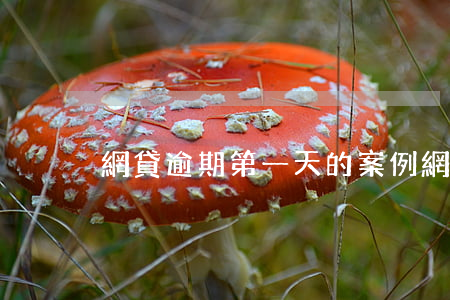 網貸逾期第一天的案例(網貸逾期一千多天)