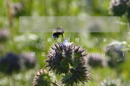 網貸逾期管理費國家標準(國家對網貸逾期罰息是怎么規(guī)定的)