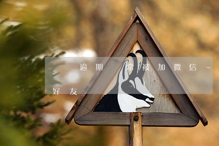 網貸逾期經常被加微信-網貸逾期會加微信好友嗎