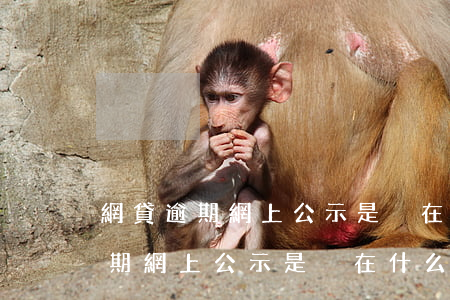 網貸逾期網上公示是掛在什么地方-網貸逾期網上公示是掛在什么地方的